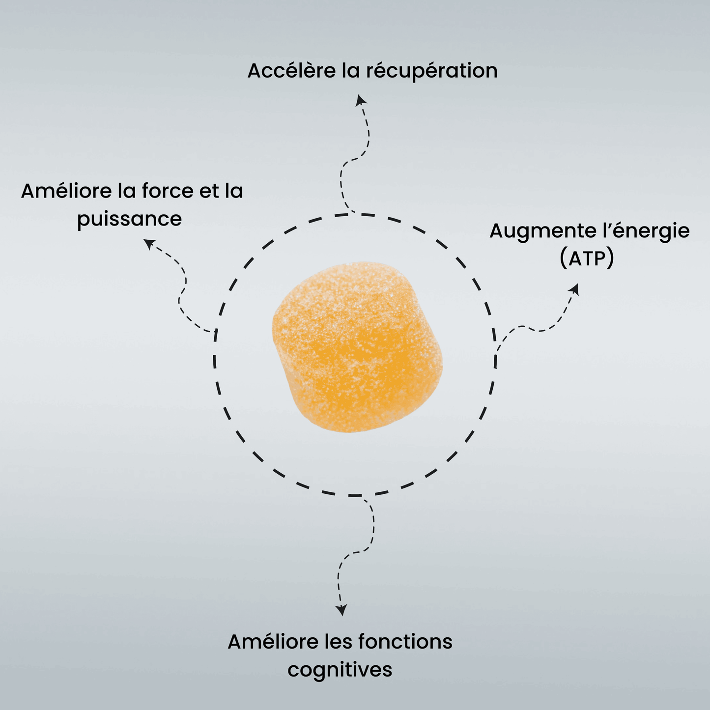 Mygum creatine gummies